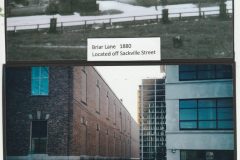 IMG_20220705_0004-scaled