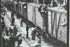 IMG_20210520_0006-scaled