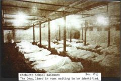 Photo_2026-03-16_134953