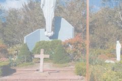 IMG_20241208_0011-scaled