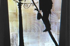 Photo_2025-03-11_133240