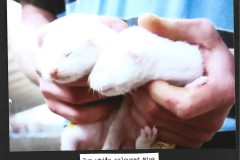 Photo_2025-05-12_054723