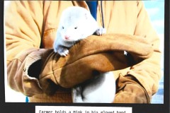 Photo_2025-05-12_054028