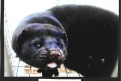 Photo_2025-05-12_054609