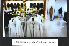 Photo_2025-05-12_054453