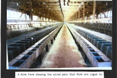 Photo_2025-05-12_054204