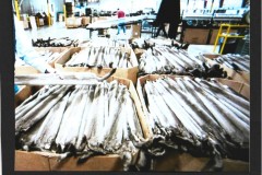 Photo_2025-05-12_054339